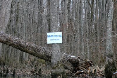 The Hot Zone, The Big Woods, 2006
