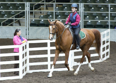 Horse Show