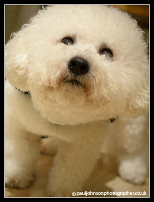 Ted-2338.jpg