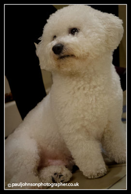 Ted-2385.jpg