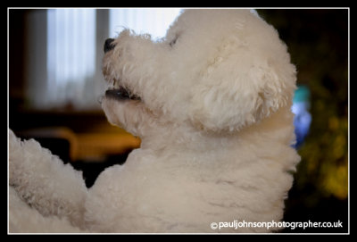 Ted-2419.jpg