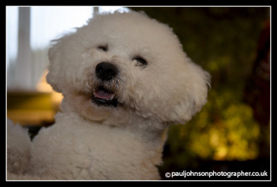 Ted