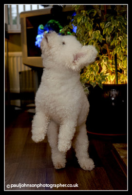 Ted-2440.jpg