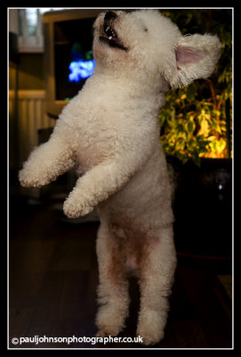 Ted-2441.jpg