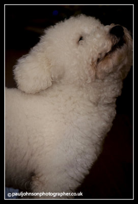 Ted-2448.jpg
