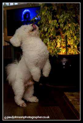 Ted-2454.jpg