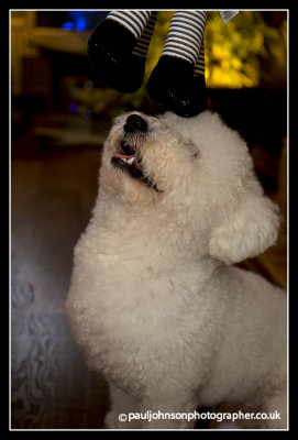 Ted