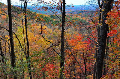  Amicalola Falls SP_12.JPG