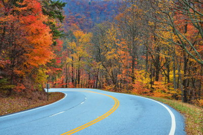 Fall In N. Georgia