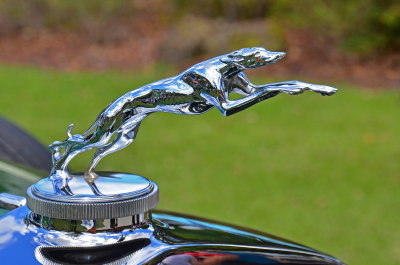 Packard Hood Ornament.JPG