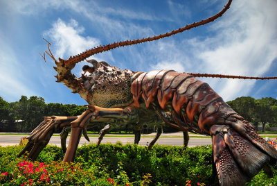 One Big Bug.jpg