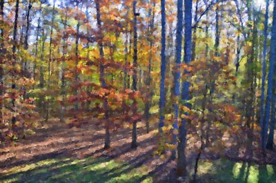 From my kitchen window