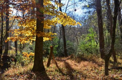 From an autumn Sunday walk