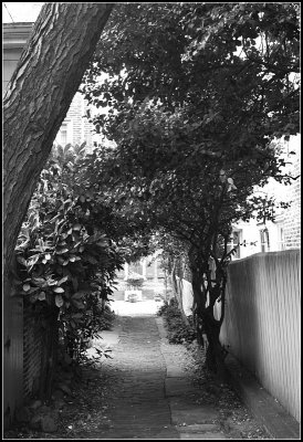 Elfreth's Alley III