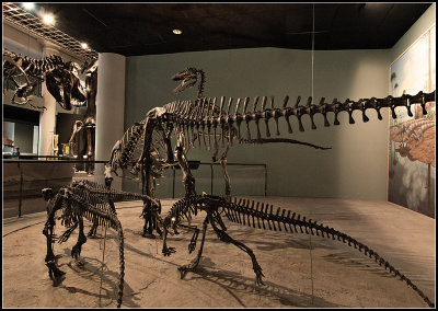 Dinos I