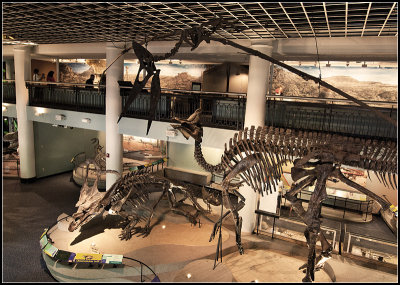 Dinos II