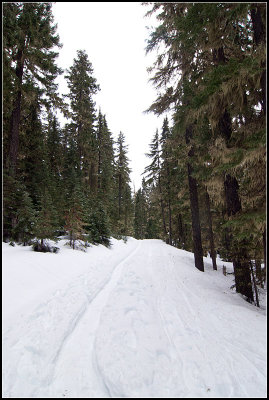Snow Path