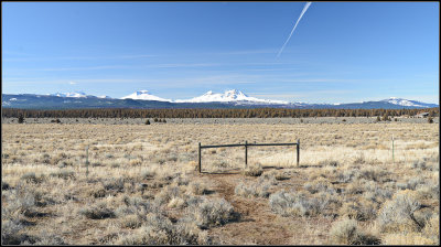 Three Sisters I