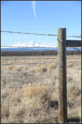 Fence Post