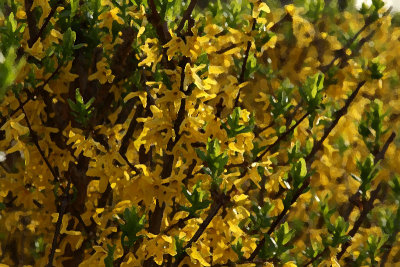 Spring ... Now !