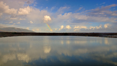 Reflection - השתקפות