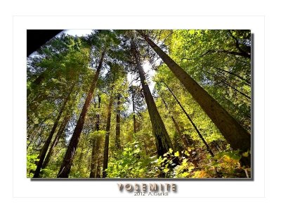 _DSC3496_fx.jpg