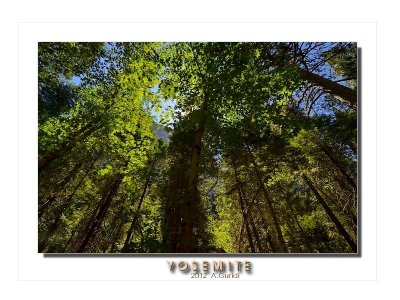 _DSC3628_fx.jpg