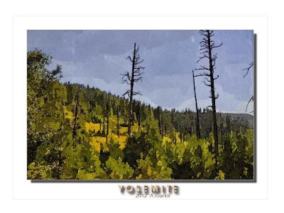 _DSC3796_fx_SK.JPG