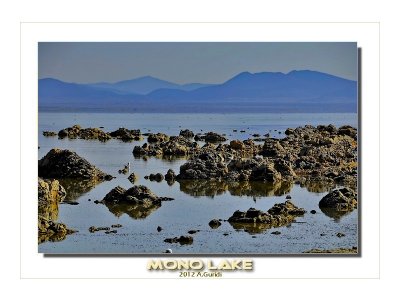 _DSC3184_fx.jpg