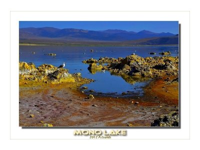 Mono Lake - UNITED STATES