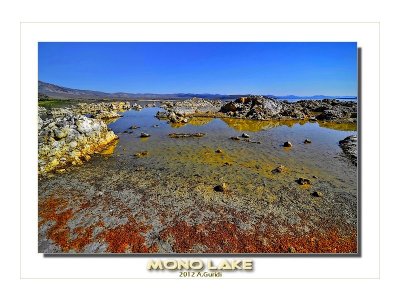 _DSC3207_fx.jpg