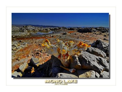 Mono Lake - UNITED STATES