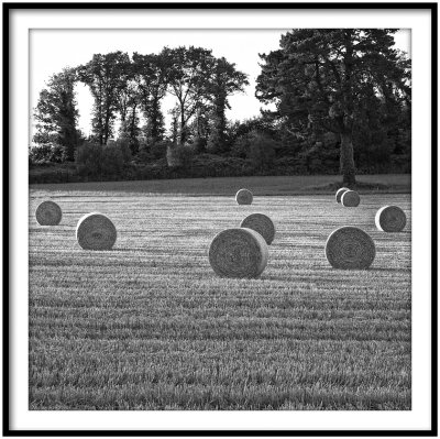 Summer landscape in Brittany