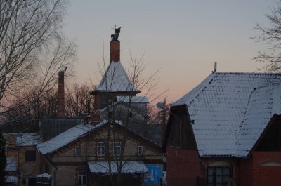 Cesis