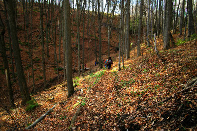 Picture 041copy.jpg