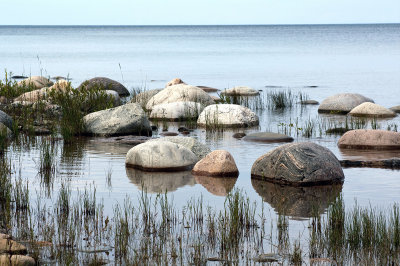 IMGP2769.jpg