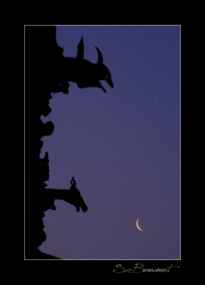 Conjonction Lune-Vnus avec les gargouilles de la cathdrale de Reims