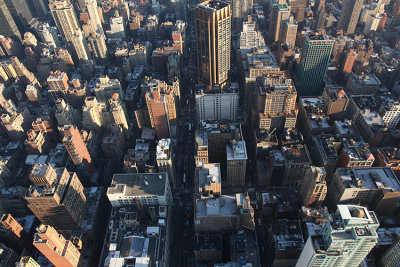 Looking Down from Empire State Bldg