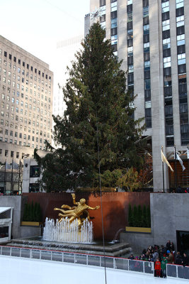 Rockefeller Tree 2a