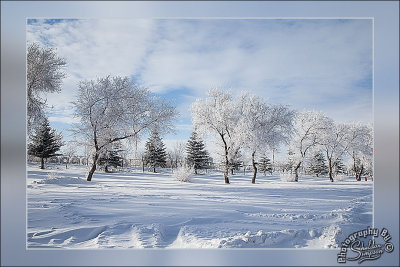 138755_Dec12_X80P0037.jpg