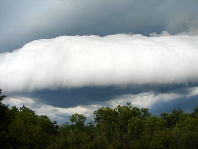 Shelf Cloud