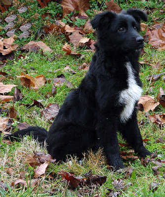 Just A Youngster