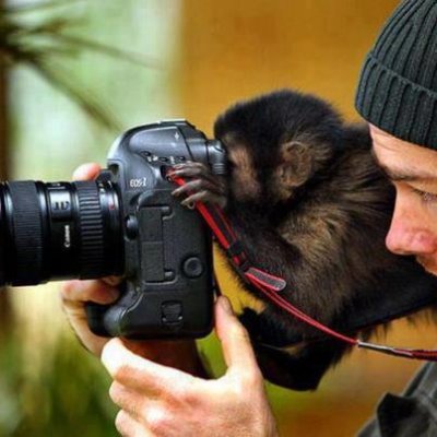 Canon Monkeys.jpg