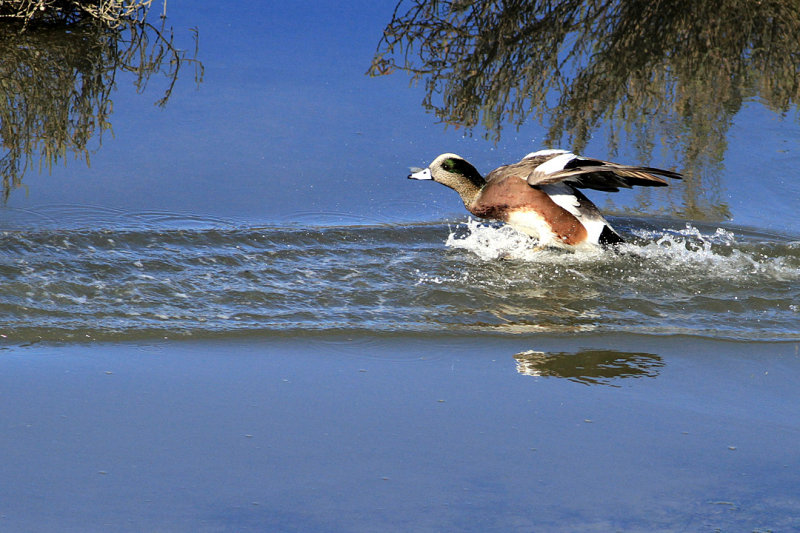 IMG_0096 copy.jpg