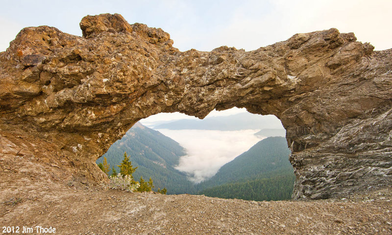 Sanctuary Arch