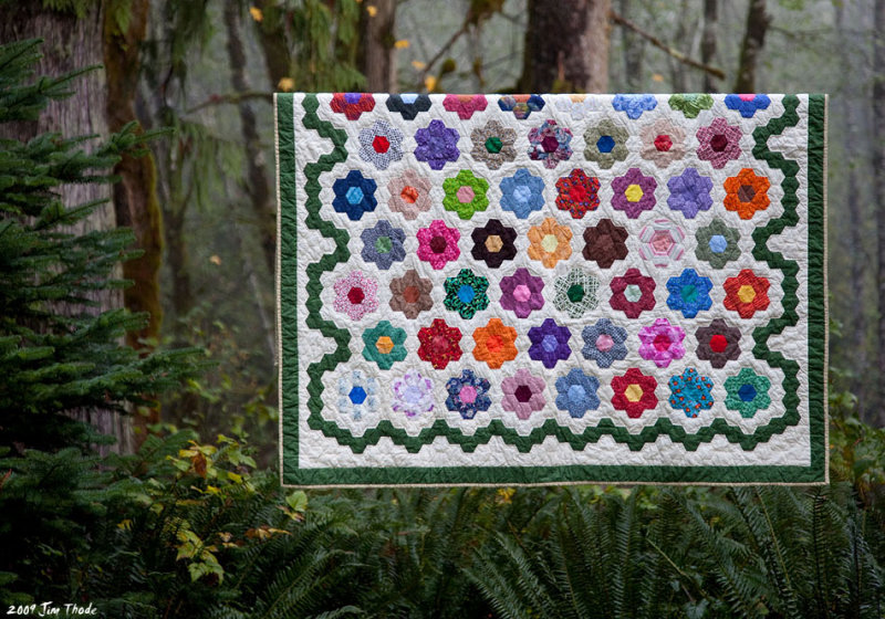 Quilt in the Wild