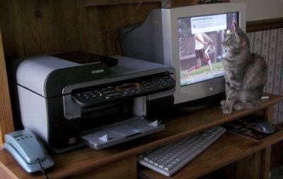 Printer Kitty Installs The MP530