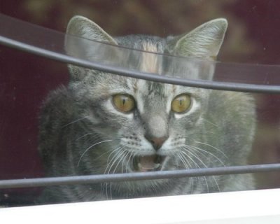 I wanna come out!