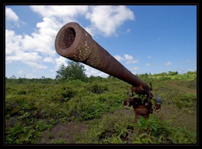 same WWII gun/cannon from a different perspective