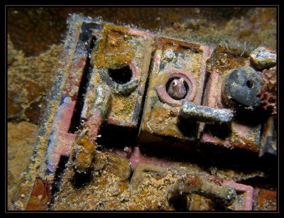 Blenny inside battery compartment on the Helmet Wreck  WWII Japanese Gun Ship?
